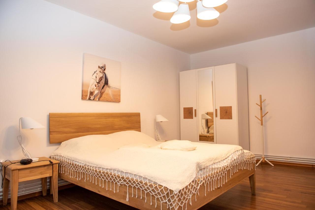 Classic Apartment Near The City Center 克卢日-纳波卡 外观 照片