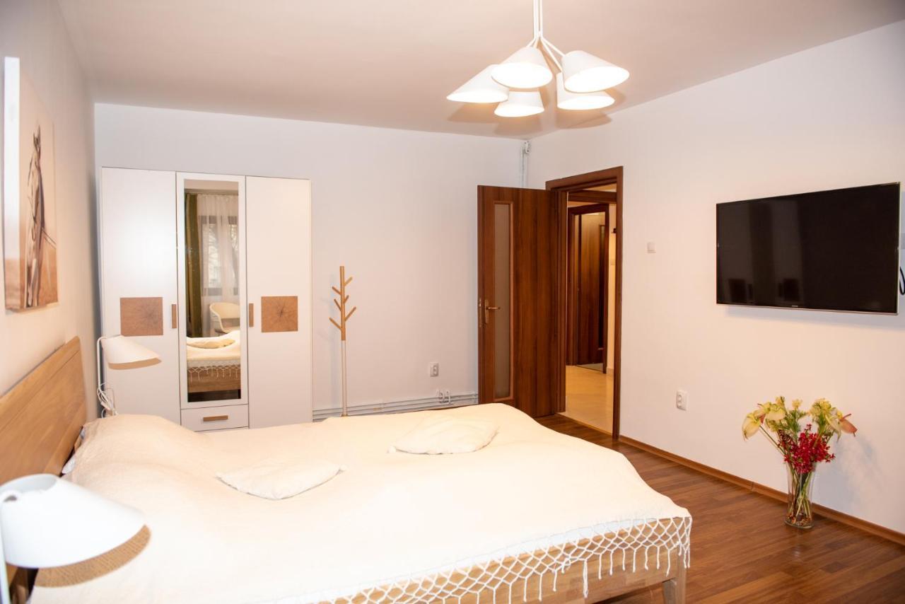 Classic Apartment Near The City Center 克卢日-纳波卡 外观 照片