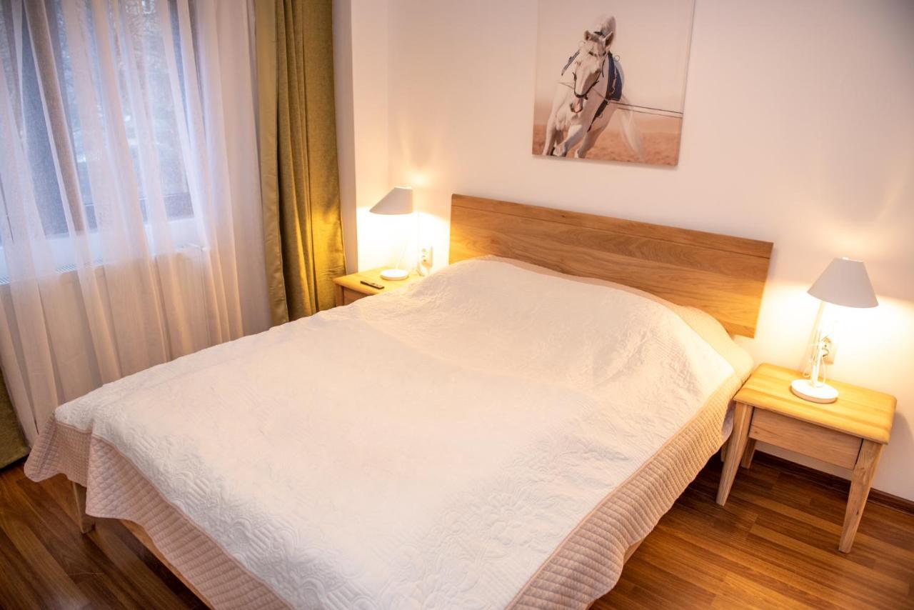 Classic Apartment Near The City Center 克卢日-纳波卡 外观 照片