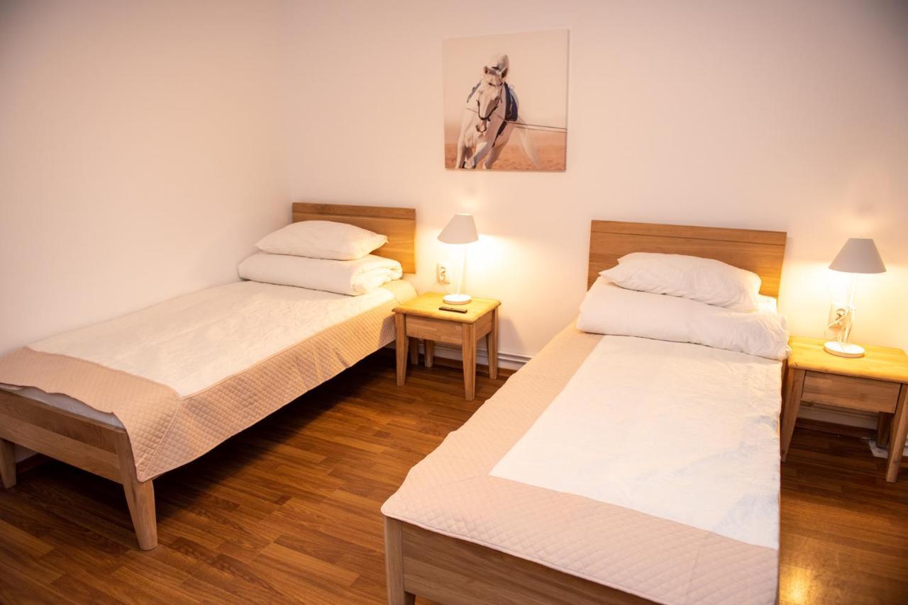 Classic Apartment Near The City Center 克卢日-纳波卡 外观 照片