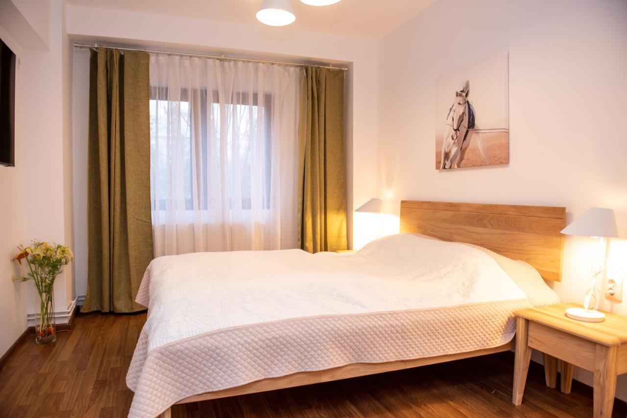 Classic Apartment Near The City Center 克卢日-纳波卡 外观 照片