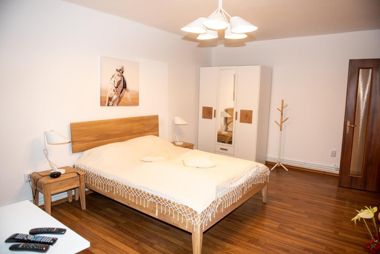 Classic Apartment Near The City Center 克卢日-纳波卡 外观 照片