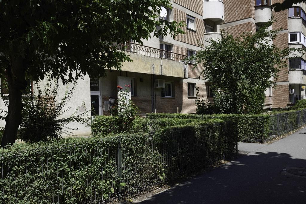 Classic Apartment Near The City Center 克卢日-纳波卡 外观 照片